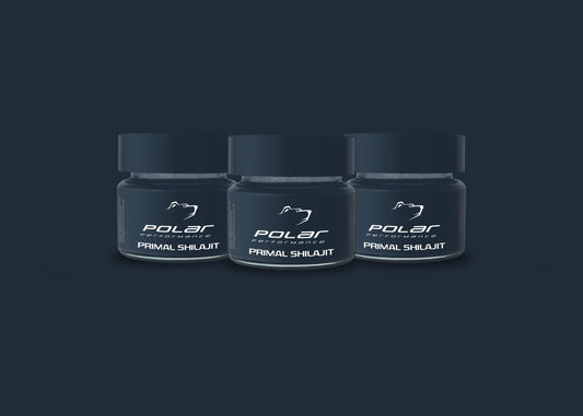 Primal Shilajit 45 grams